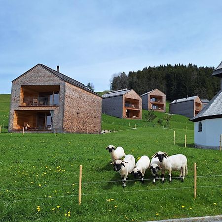 Apartment Rheintal Im Alpenvorland Batschuns 外观 照片