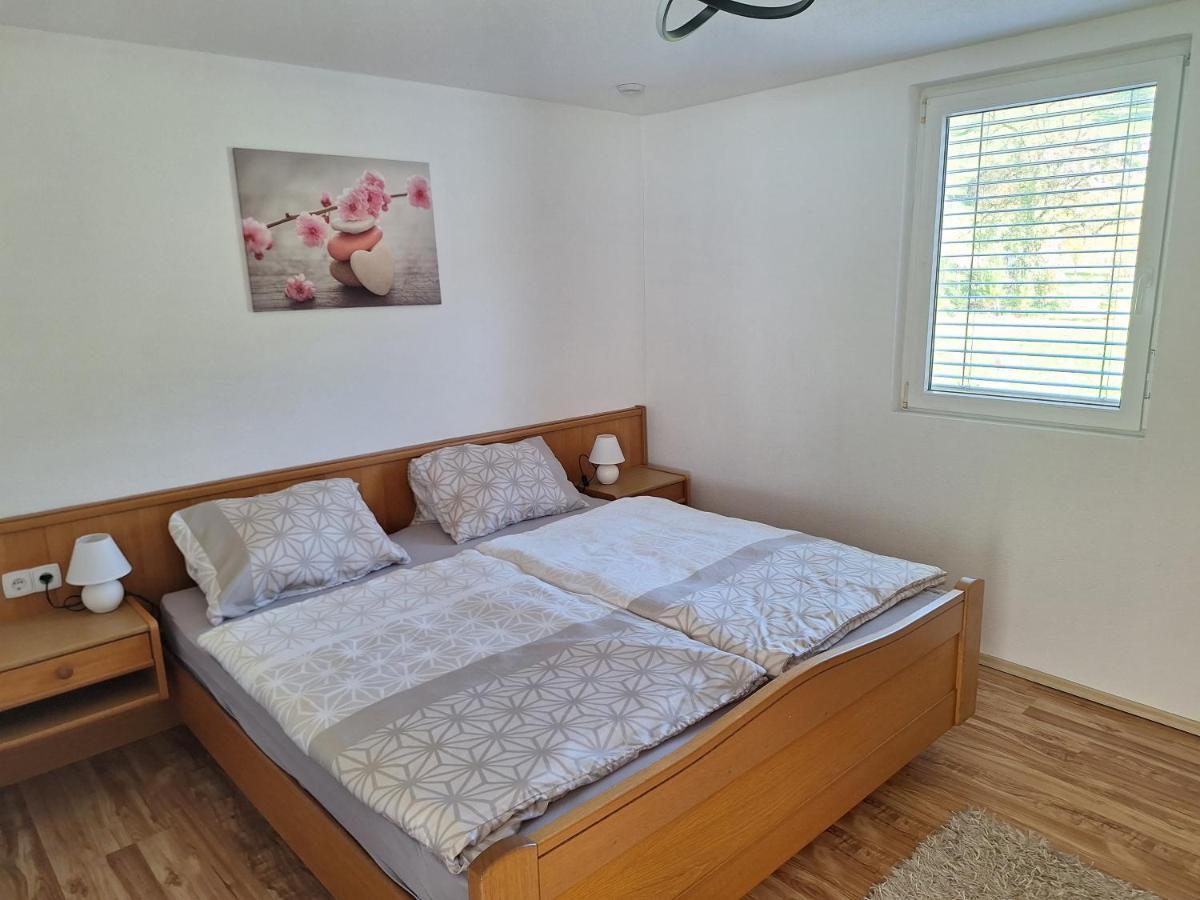 Apartment Rheintal Im Alpenvorland Batschuns 外观 照片