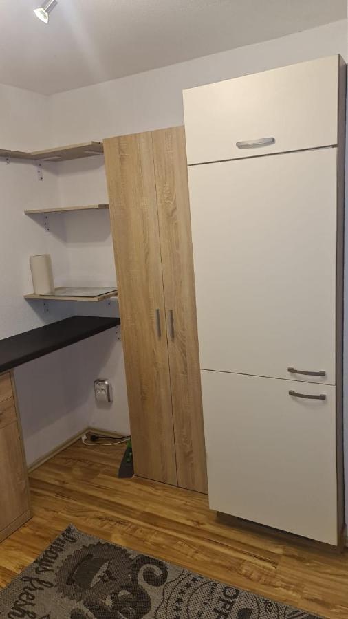 Apartment Rheintal Im Alpenvorland Batschuns 外观 照片