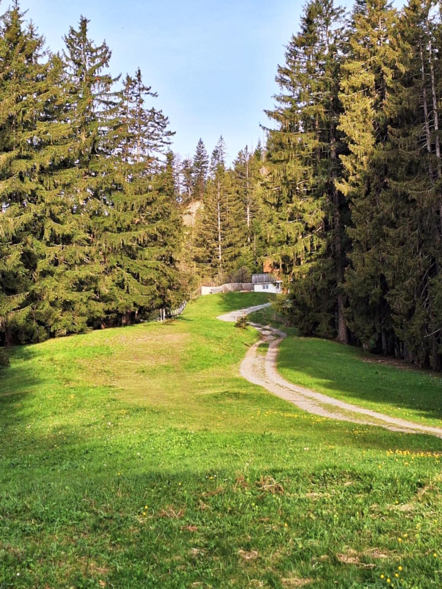 Apartment Rheintal Im Alpenvorland Batschuns 外观 照片