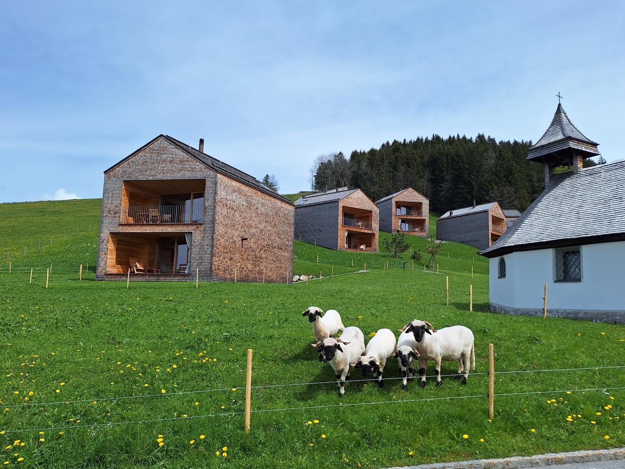 Apartment Rheintal Im Alpenvorland Batschuns 外观 照片
