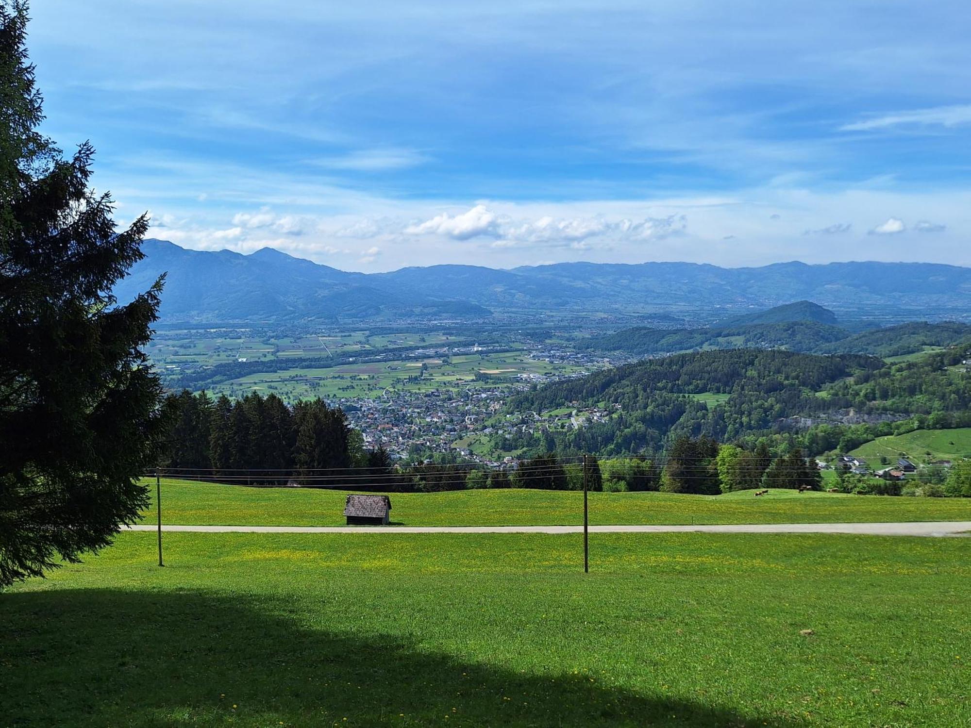 Apartment Rheintal Im Alpenvorland Batschuns 外观 照片