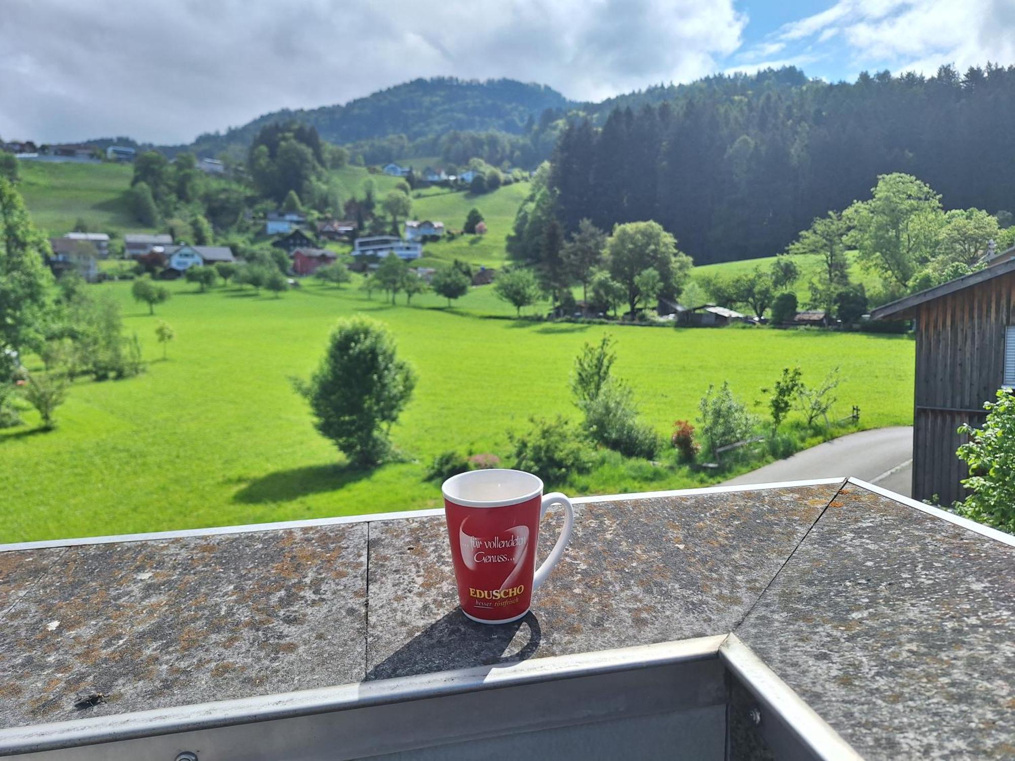 Apartment Rheintal Im Alpenvorland Batschuns 外观 照片