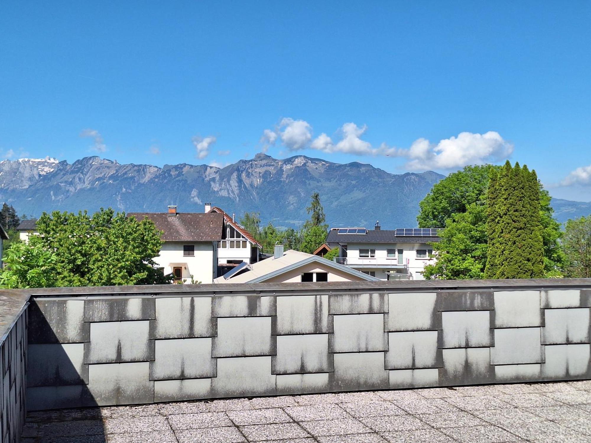 Apartment Rheintal Im Alpenvorland Batschuns 外观 照片