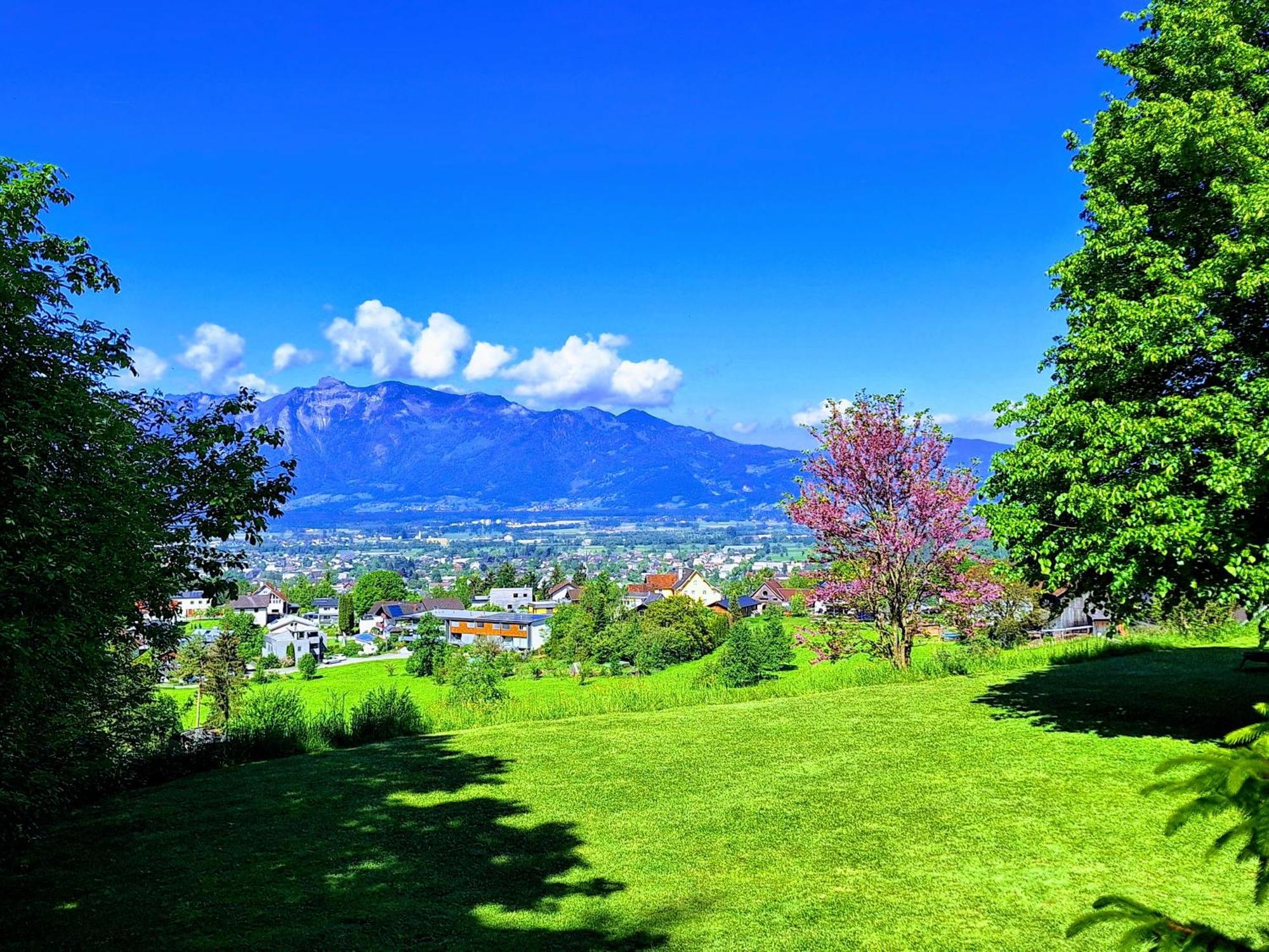 Apartment Rheintal Im Alpenvorland Batschuns 外观 照片