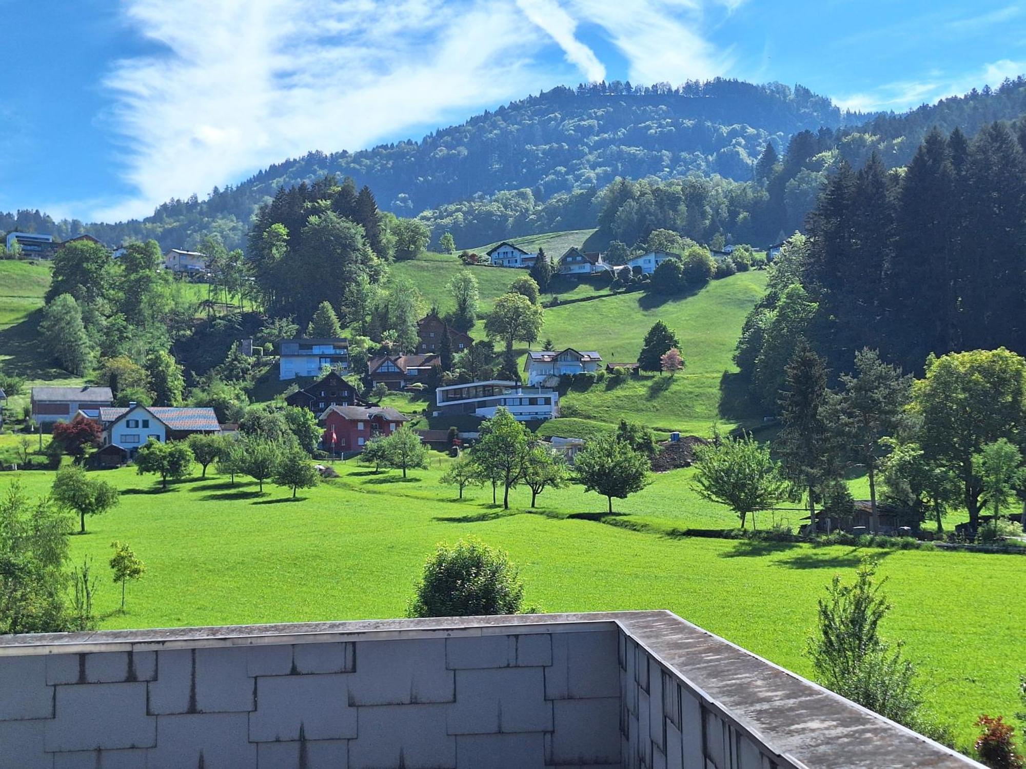 Apartment Rheintal Im Alpenvorland Batschuns 外观 照片